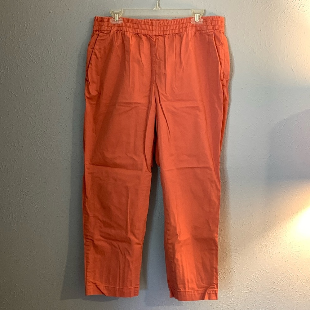 Everlane Easy Pant